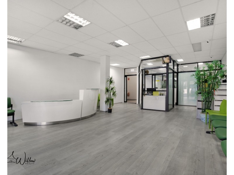 2/117 John Street, Cabramatta NSW 2166