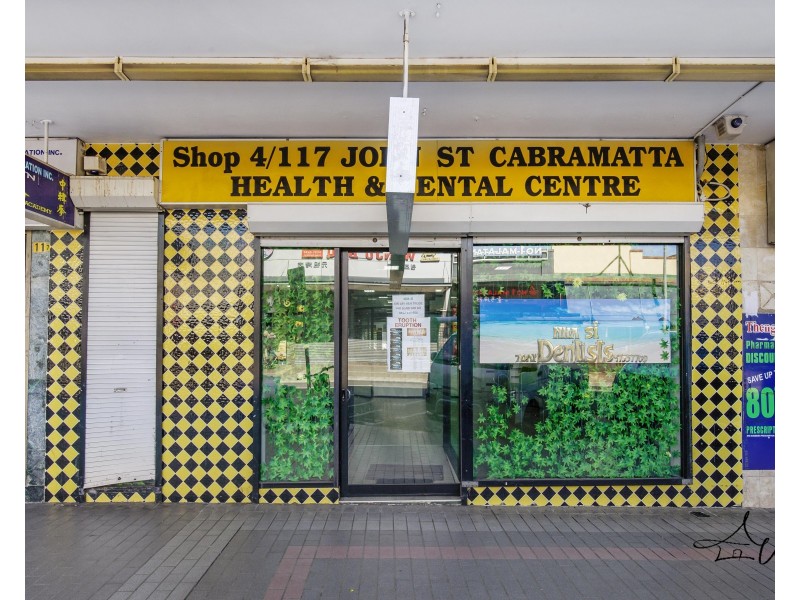 2/117 John Street, Cabramatta NSW 2166