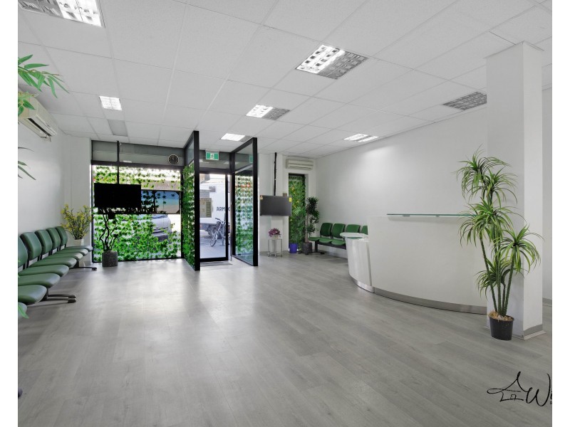 2/117 John Street, Cabramatta NSW 2166