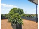 204/1 Robey Street, Mascot NSW 2020