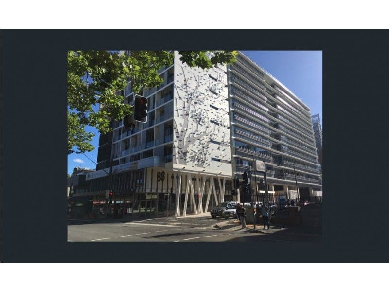 220/88 Archer Street, Chatswood NSW 2067