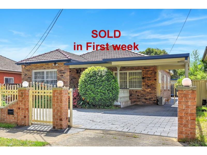 3 EUSTON ROAD, Auburn NSW 2144