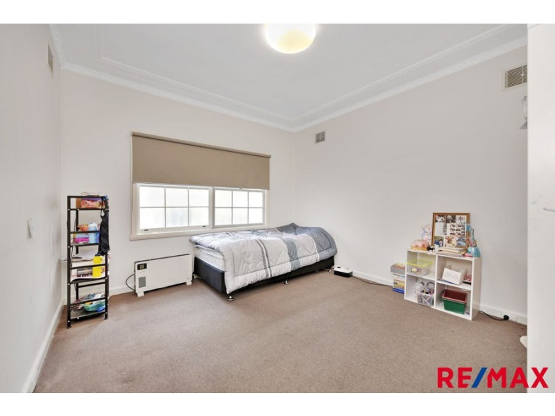 3 EUSTON ROAD, Auburn NSW 2144