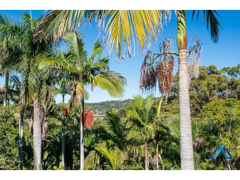 31 Conway Ct, Bli Bli QLD 4560