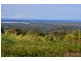 95 Burnett St, Buderim QLD 4556