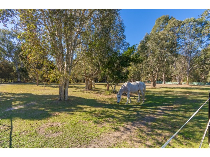 20 McConachy Rd, Elimbah QLD 4516