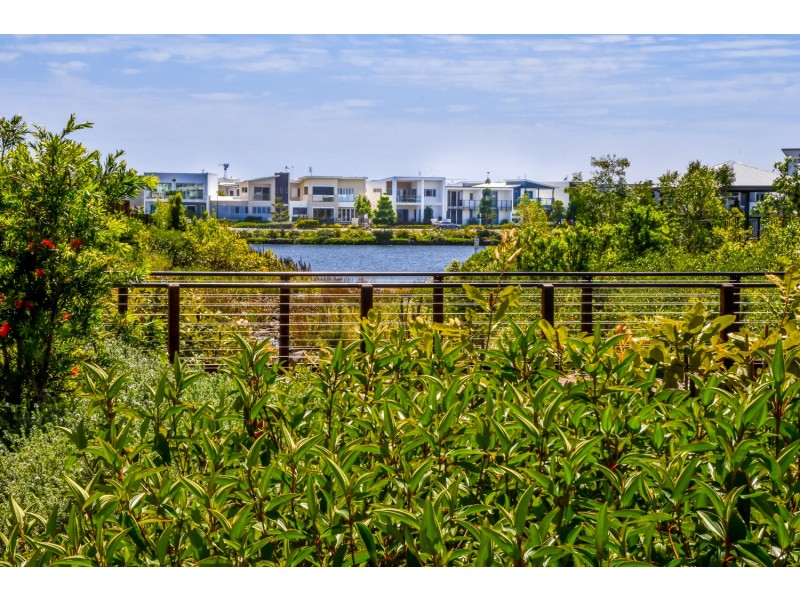 11 Claremont Drive, Maroochydore QLD 4558