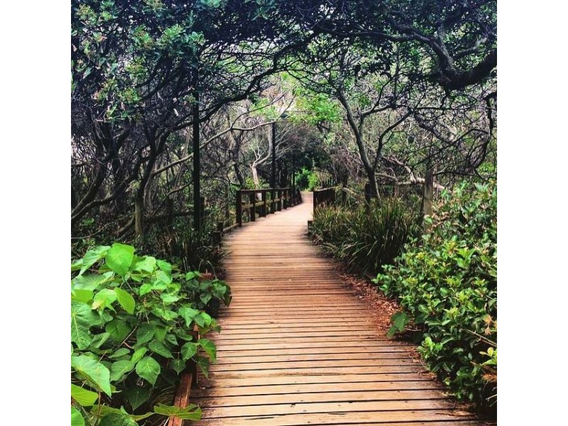 66/17-19 Brisbane Road, Mooloolaba QLD 4557