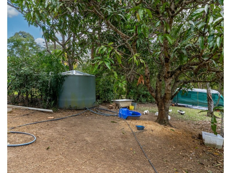 8 Curlew Cres, Cooroy QLD 4563