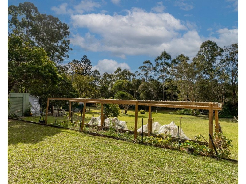 8 Curlew Cres, Cooroy QLD 4563