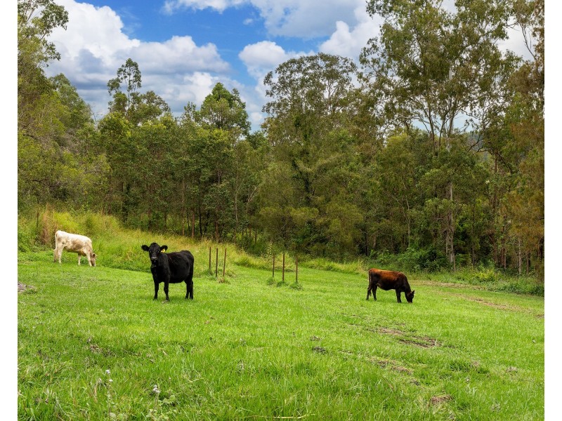 Lot 10 87 Kelly Rd, Amamoor Creek QLD 4570