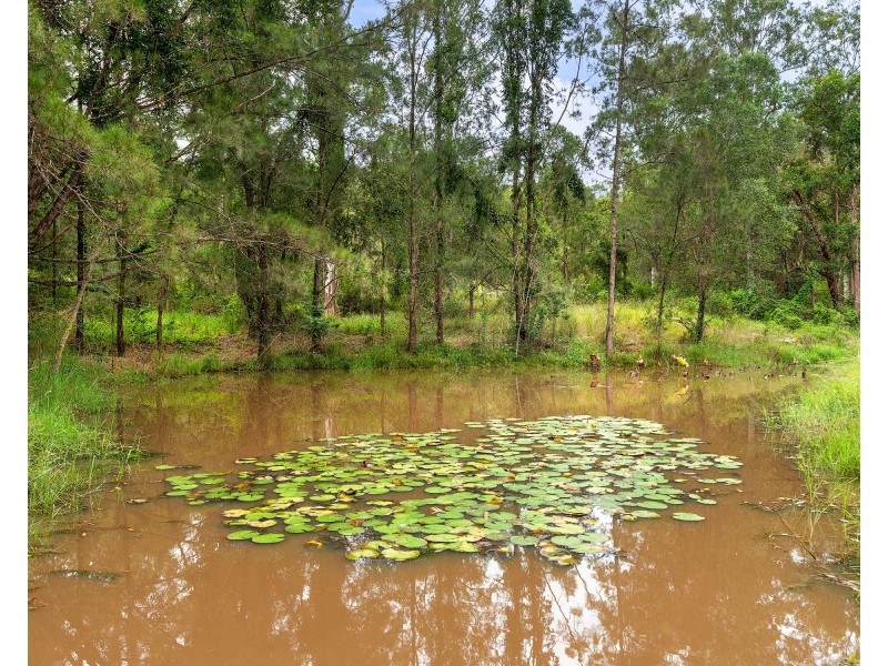 Lot 10 87 Kelly Rd, Amamoor Creek QLD 4570