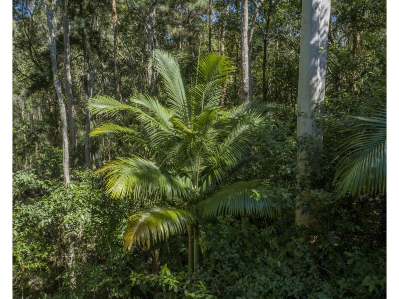 269 Coonowrin Rd, Glass House Mountains QLD 4518