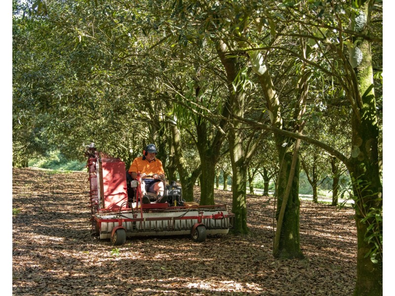 269 Coonowrin Rd, Glass House Mountains QLD 4518