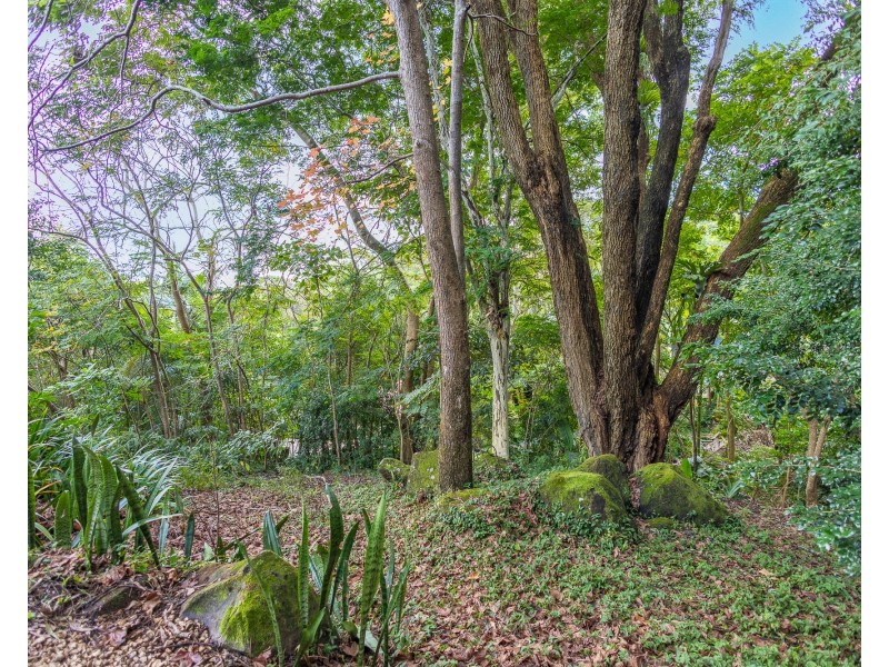22 Crosby Hill Rd, Buderim QLD 4556