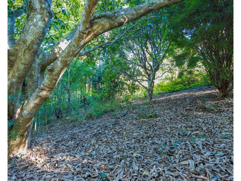 182 Panorama Dr, Rosemount QLD 4560