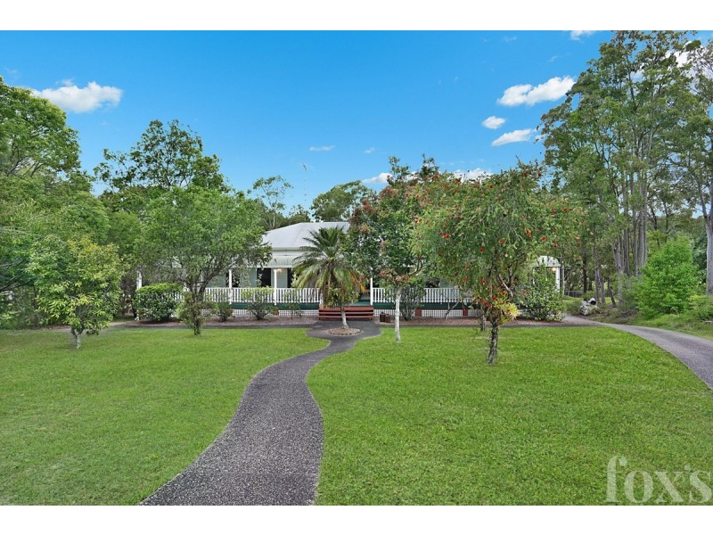 37 Lutana Street, Nerang QLD 4211