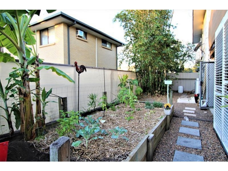 288 Bayview Street, Hollywell QLD 4216