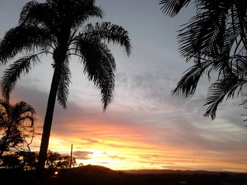 31 Helensvale Road, Helensvale QLD 4212