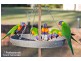 17 Mahogany Street, Capalaba QLD 4157
