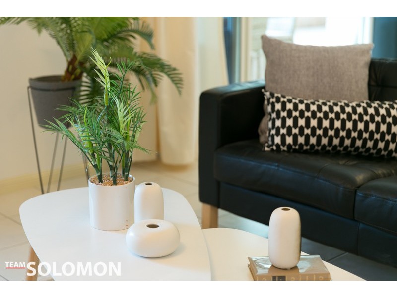 21 Adam Street, Cleveland QLD 4163