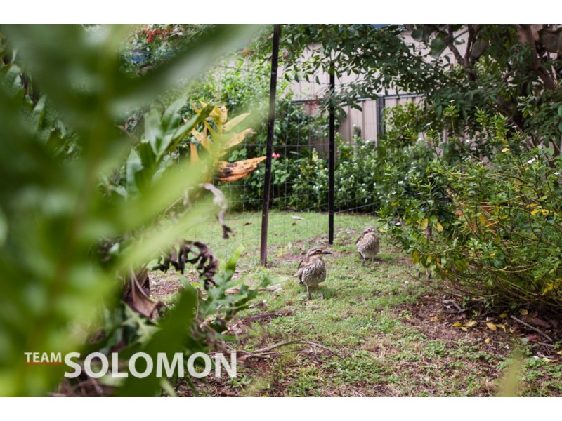 13 Kingfisher Street, Coochiemudlo Island QLD 4184