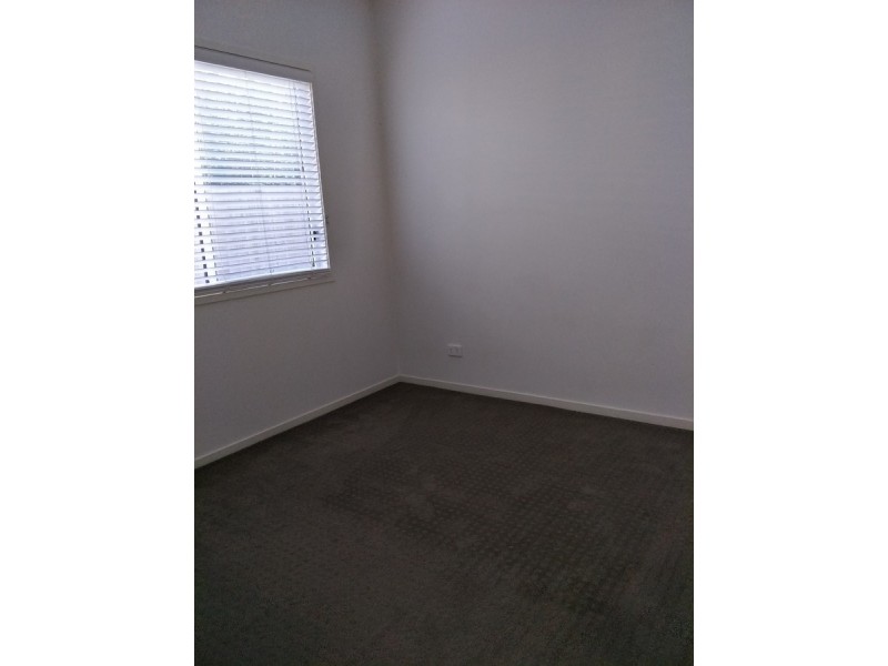 56 Starkey Street, Wellington Point QLD 4160