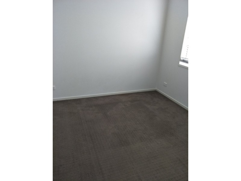 56 Starkey Street, Wellington Point QLD 4160