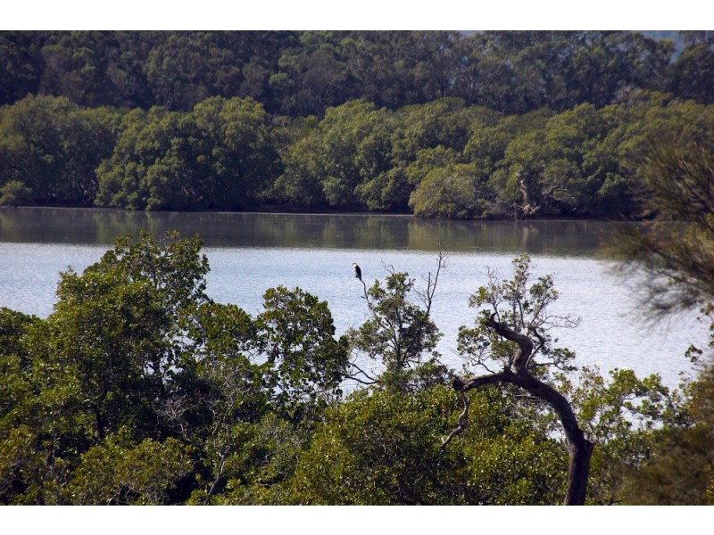 62 Timothy Street, Macleay Island QLD 4184