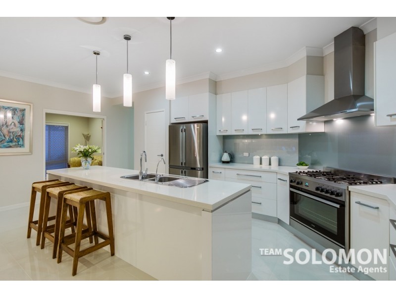 24 Jabiru Place, Cleveland QLD 4163