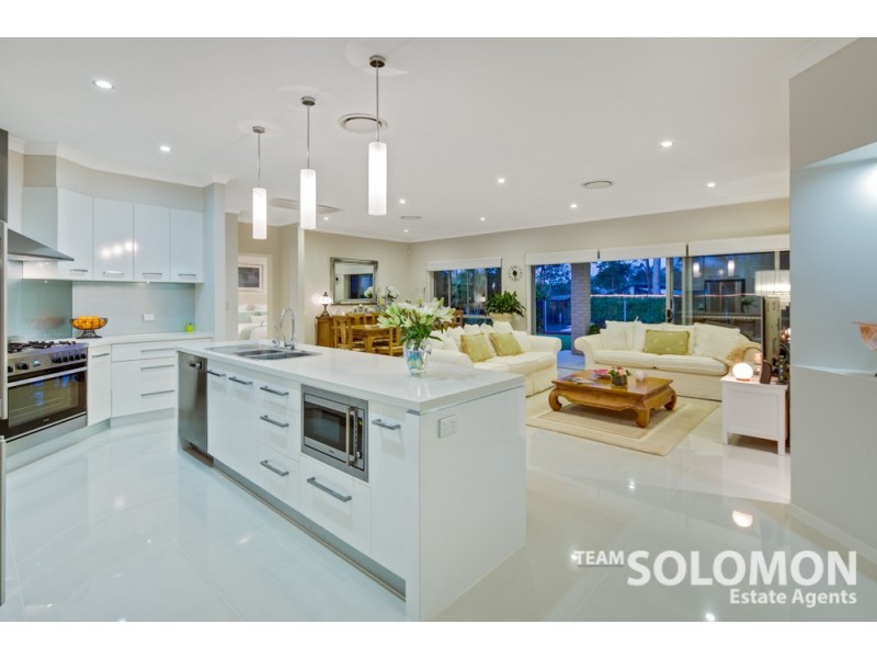 24 Jabiru Place, Cleveland QLD 4163