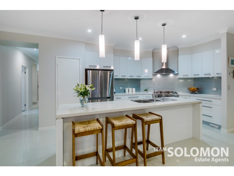 24 Jabiru Place, Cleveland QLD 4163