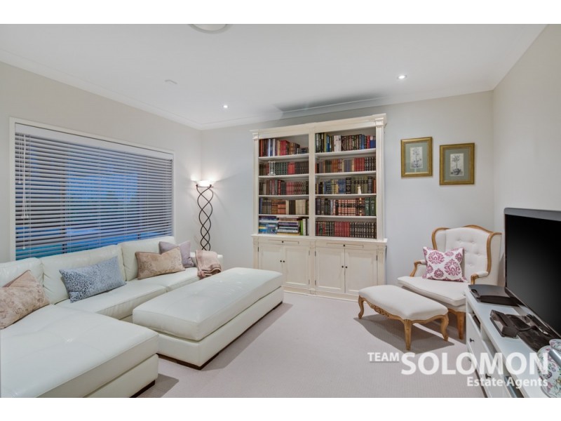 24 Jabiru Place, Cleveland QLD 4163