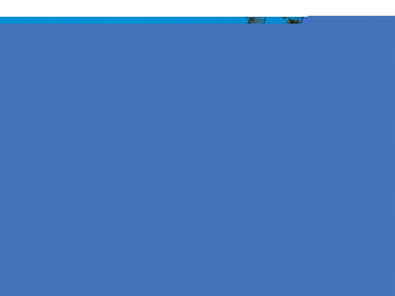 5 Pampas Court, Capalaba QLD 4157