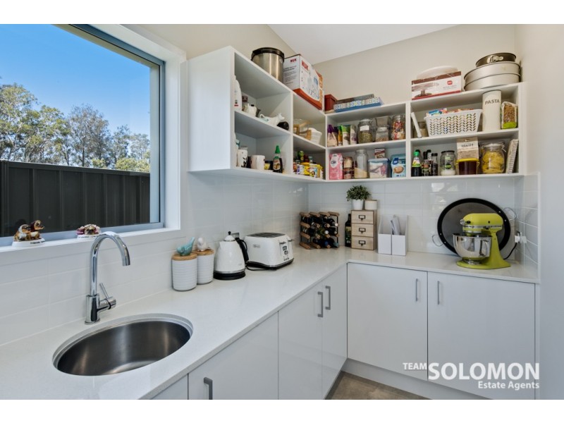 12 Water Street, Cleveland QLD 4163