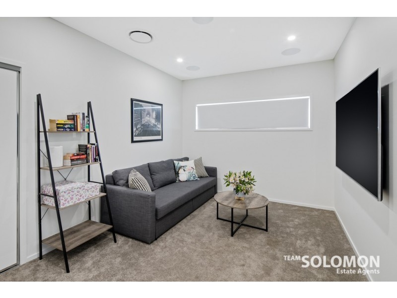 12 Water Street, Cleveland QLD 4163