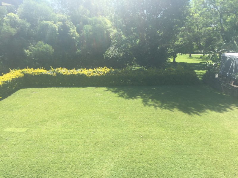 9 Court Street, Ormiston QLD 4160