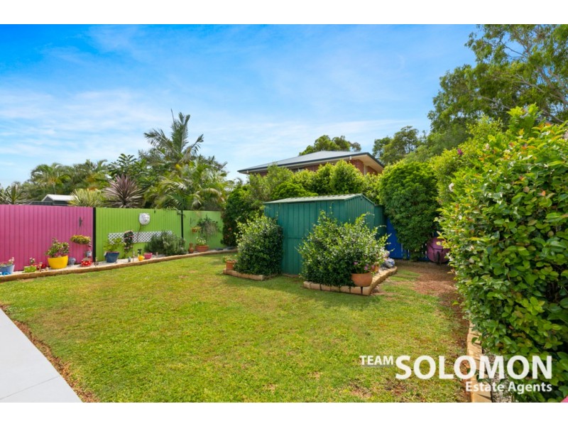 40 Langdon Street, Cleveland QLD 4163