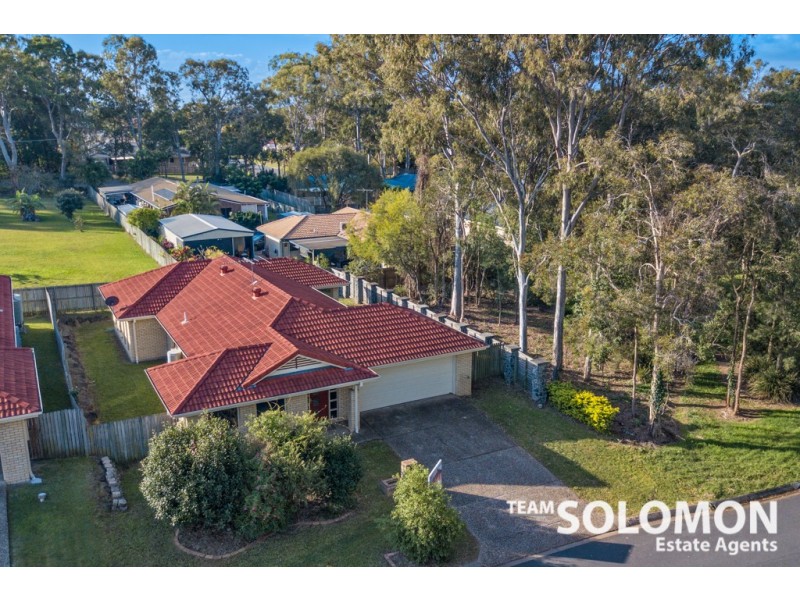 15 Adam Street, Cleveland QLD 4163