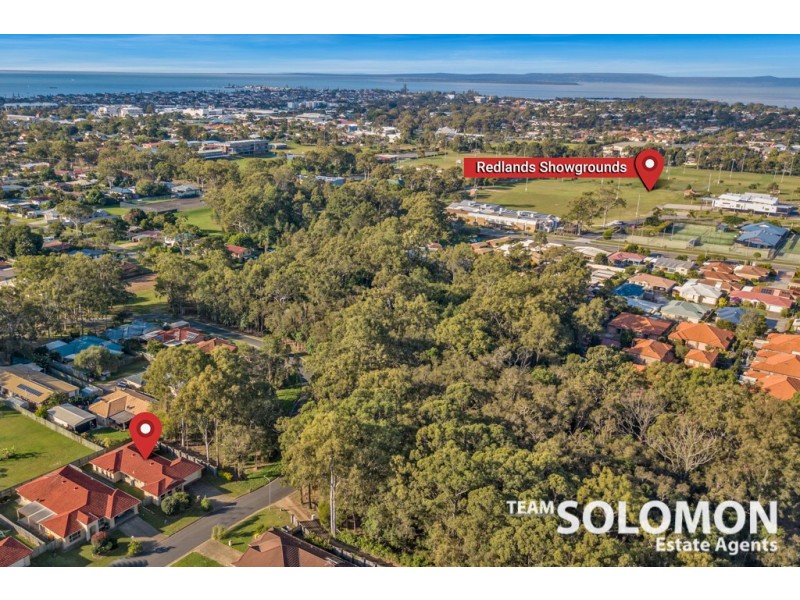 15 Adam Street, Cleveland QLD 4163