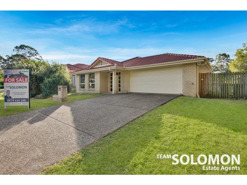 15 Adam Street, Cleveland QLD 4163