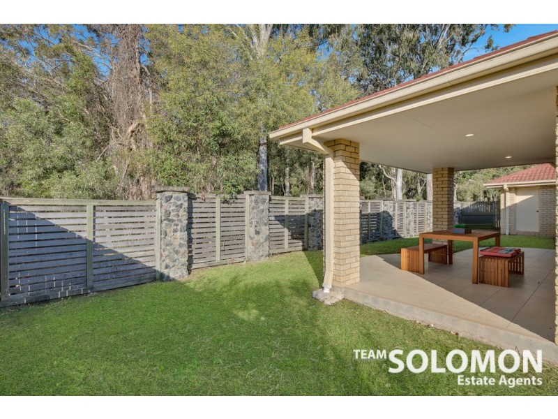 15 Adam Street, Cleveland QLD 4163