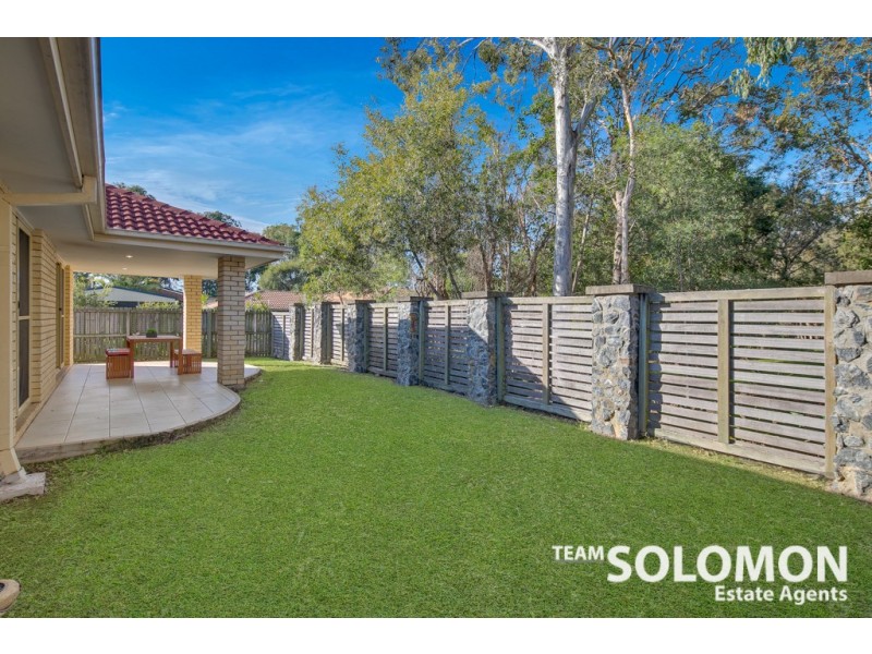 15 Adam Street, Cleveland QLD 4163
