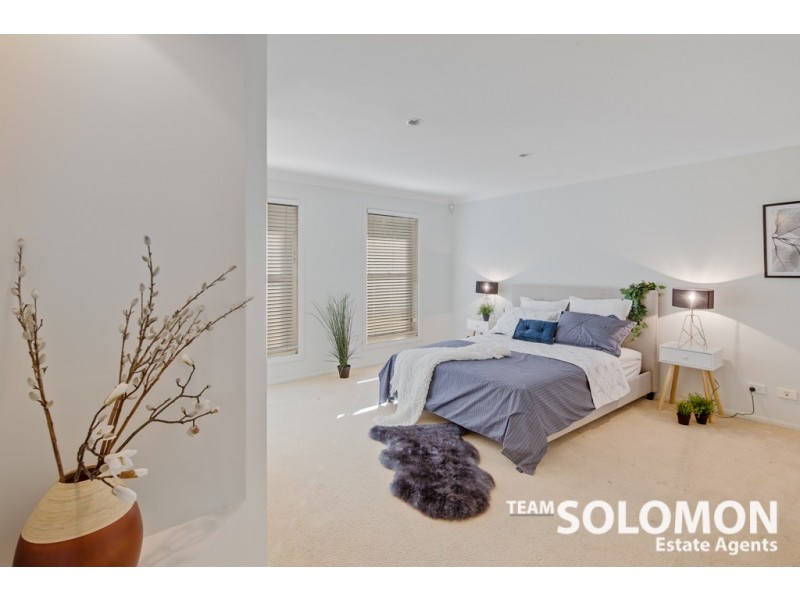 15 Adam Street, Cleveland QLD 4163