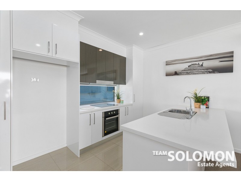 25 Passage Street, Cleveland QLD 4163