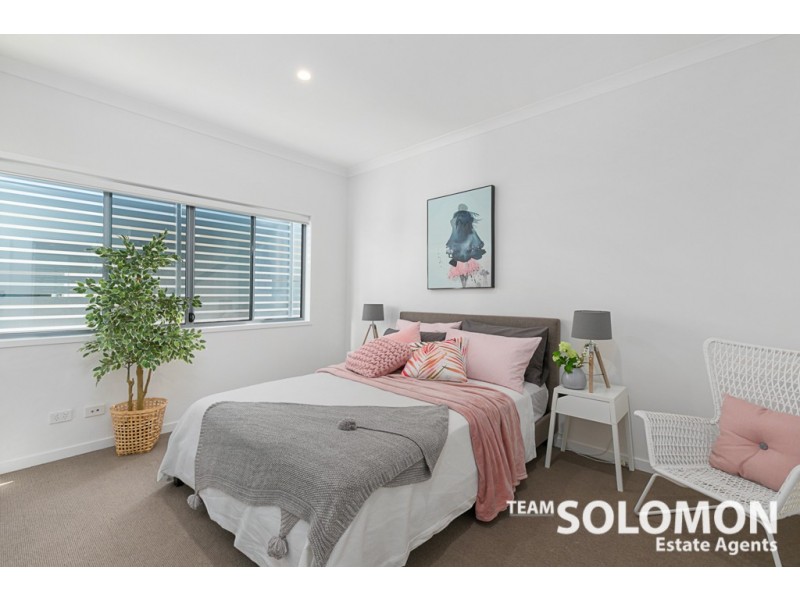 25 Passage Street, Cleveland QLD 4163