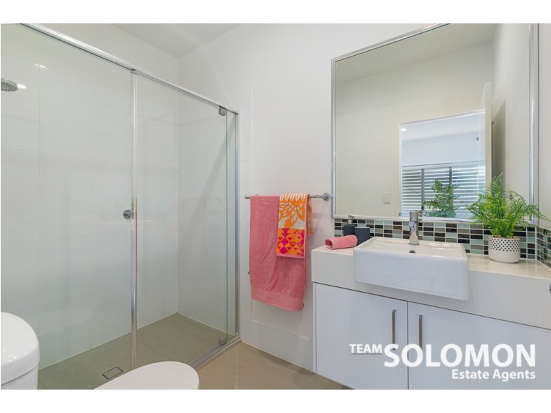 25 Passage Street, Cleveland QLD 4163