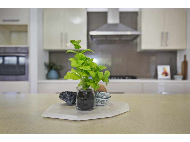 1 Salford Street, Victoria Point QLD 4165