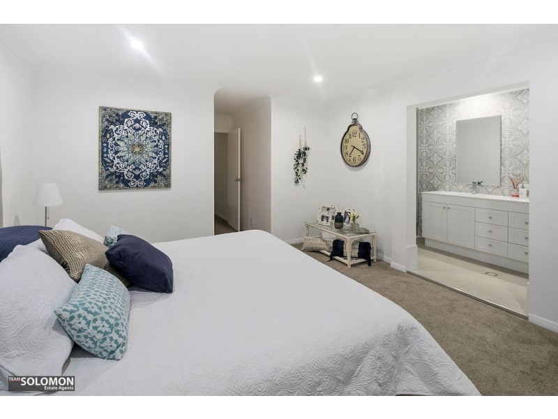 17 Princess Street, Cleveland QLD 4163