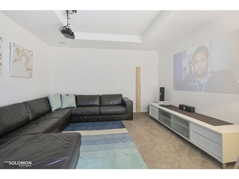 17 Princess Street, Cleveland QLD 4163